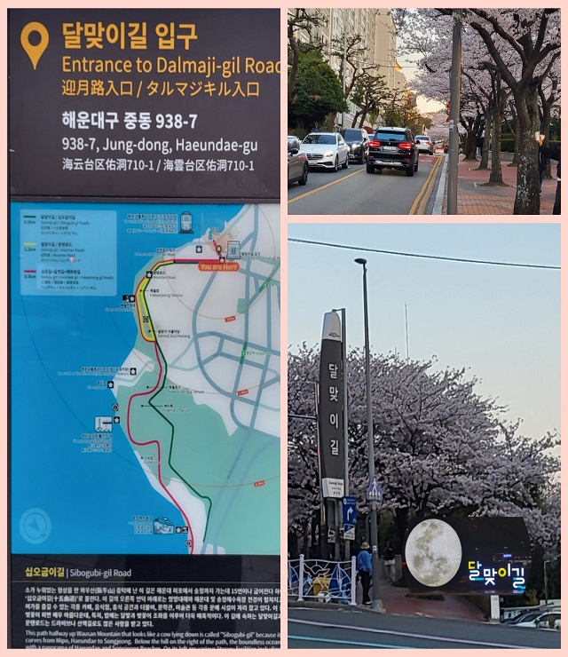 달맞이길 입구